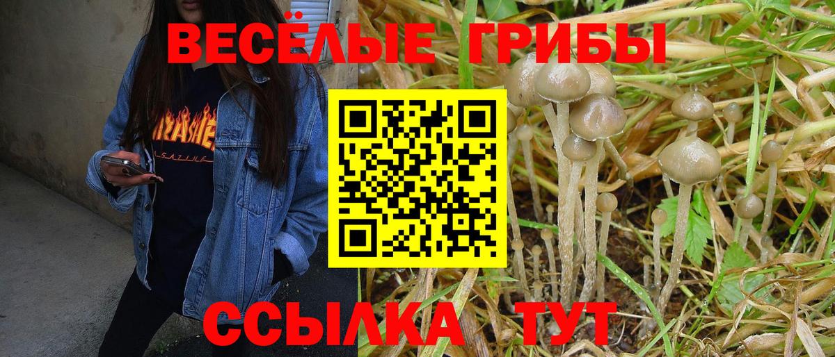 Дальнегорск  Галлюциногенные грибы мухоморы  Галлюциногенные грибы MAGIC MUSHROOMS  Вход с VPN 